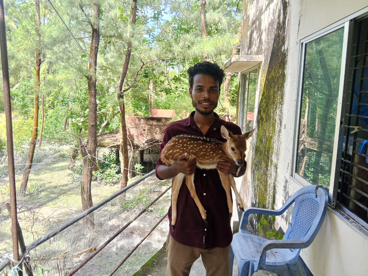 পর্যটকদের ভিড় বাড়াচ্ছে নিঝুম দ্বীপের তিন বন্ধু—বিজলি, সোহাগি ও গোলাপি